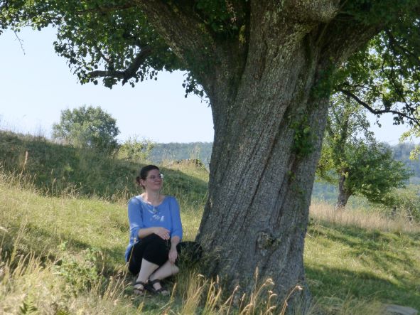Gespräche unterm Apfelbaum
