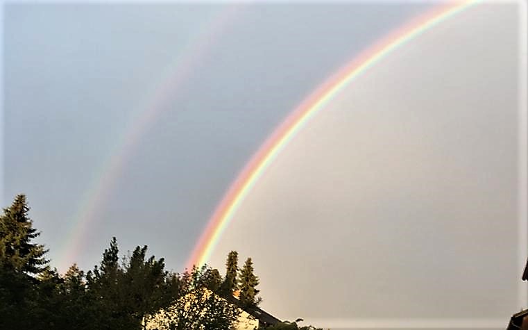 Regenbogen